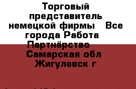 Торговый представитель немецкой фирмы - Все города Работа » Партнёрство   . Самарская обл.,Жигулевск г.